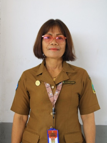 Nelli Mariati Saragih