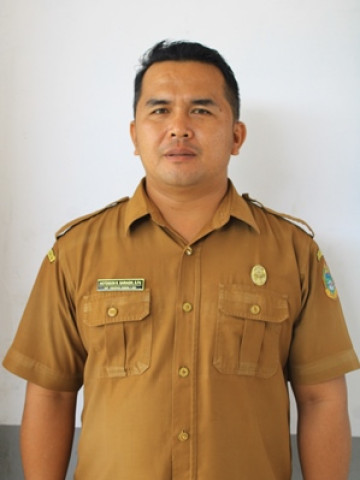 Hotdison Radearma Saragih