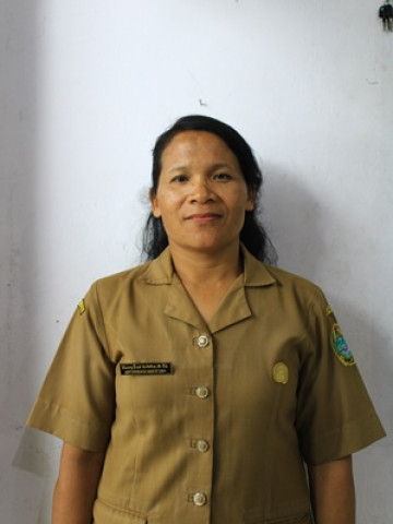 Hong Ens Ramely Haloho